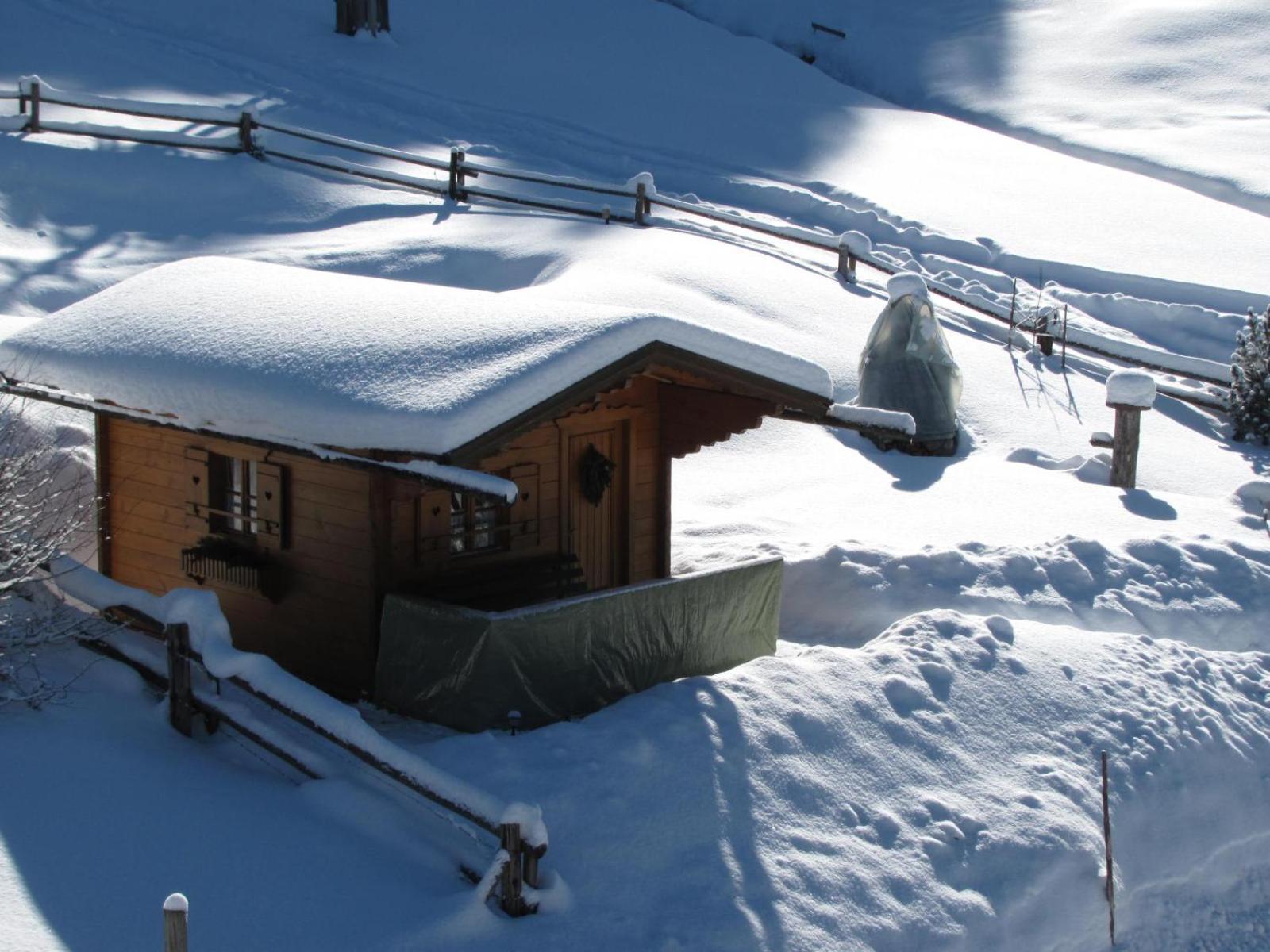 Haus Wallinger Abtenau Esterno foto