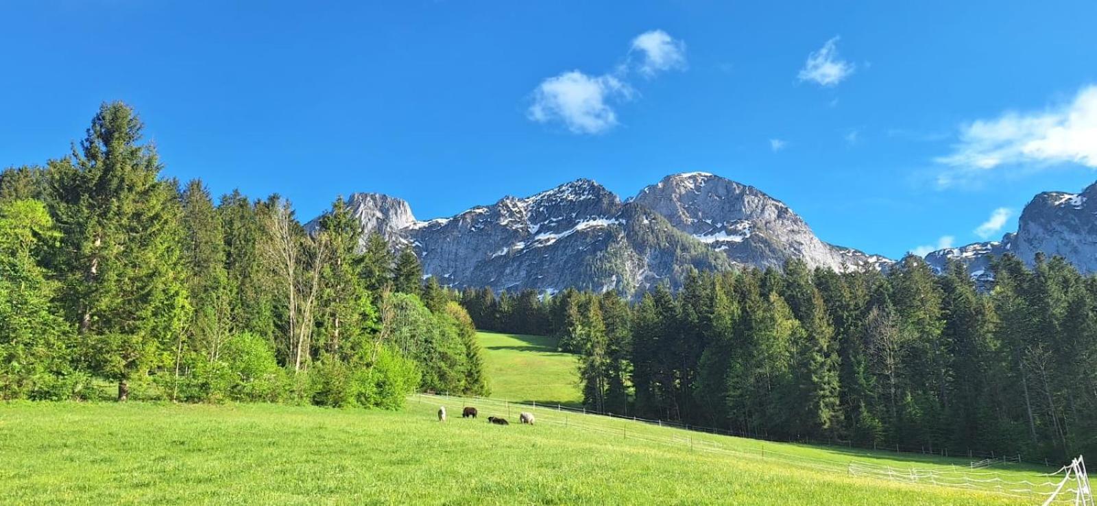 Haus Wallinger Abtenau Esterno foto