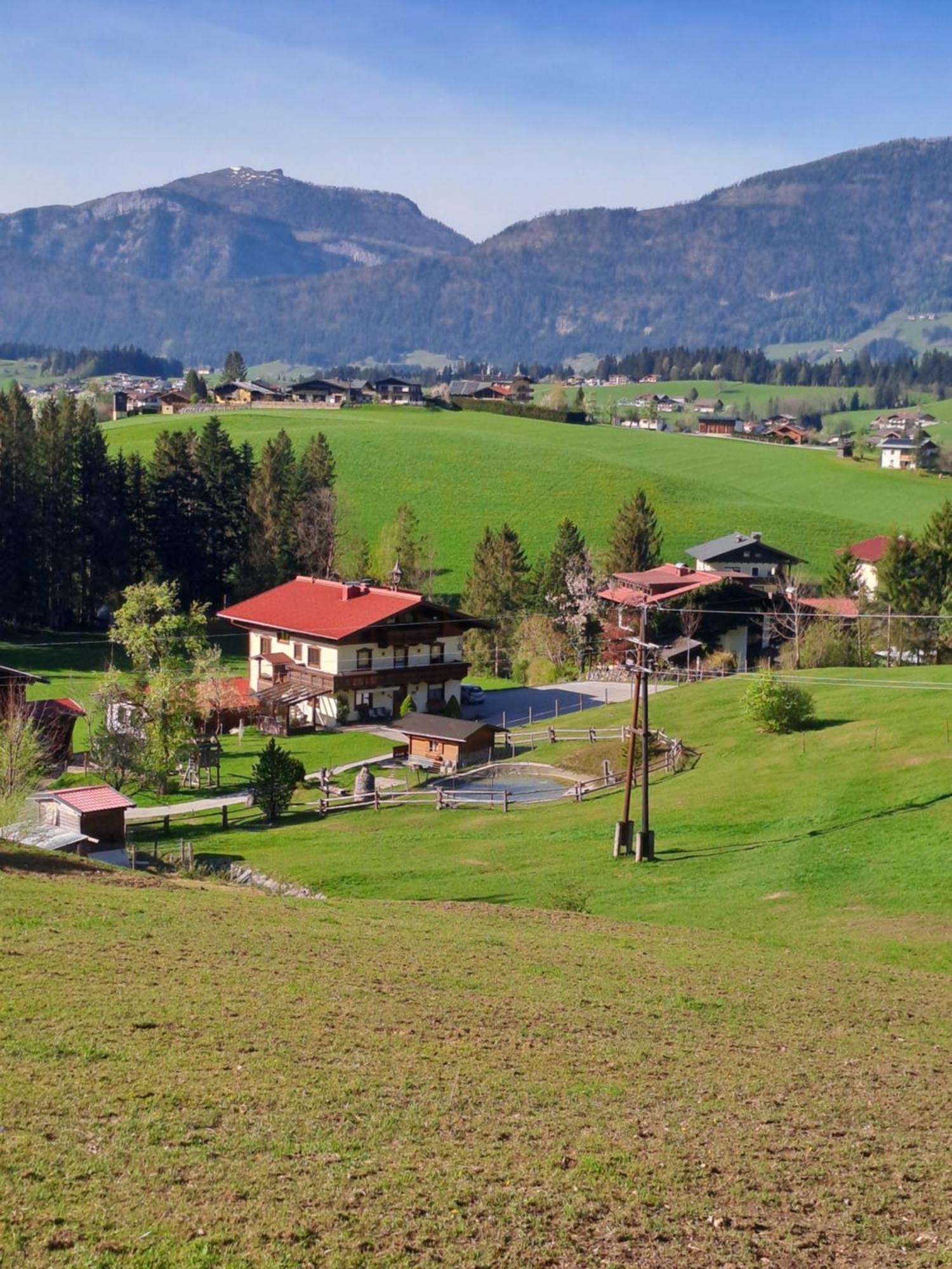 Haus Wallinger Abtenau Esterno foto